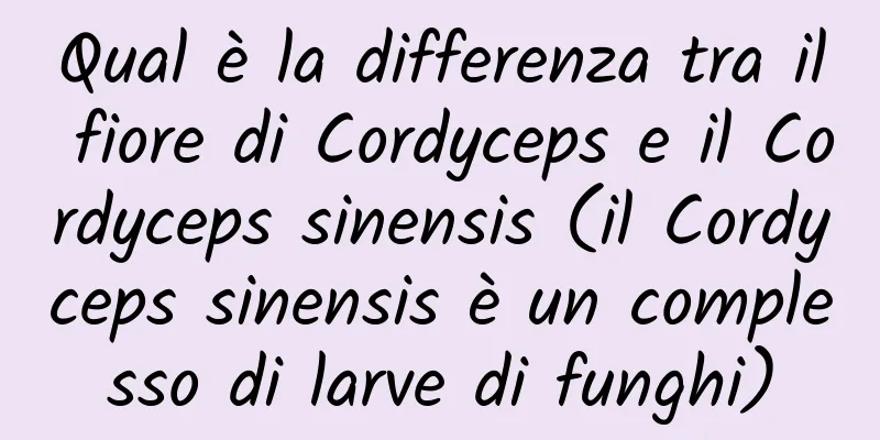 Qual è la differenza tra il fiore di Cordyceps e il Cordyceps sinensis (il Cordyceps sinensis è un complesso di larve di funghi)