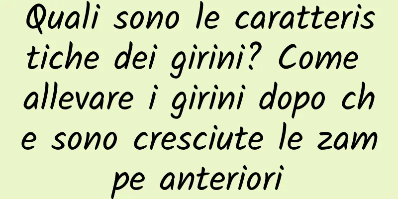 Quali sono le caratteristiche dei girini? Come allevare i girini dopo che sono cresciute le zampe anteriori