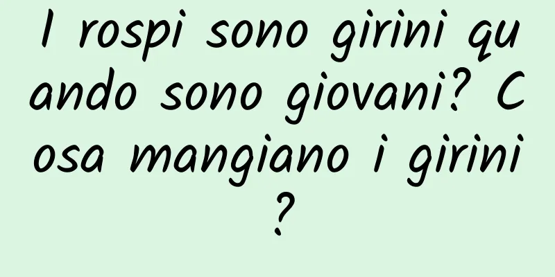 I rospi sono girini quando sono giovani? Cosa mangiano i girini?