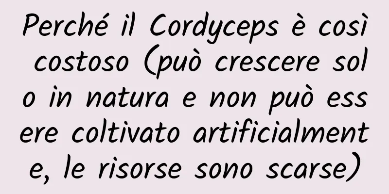 Perché il Cordyceps è così costoso (può crescere solo in natura e non può essere coltivato artificialmente, le risorse sono scarse)