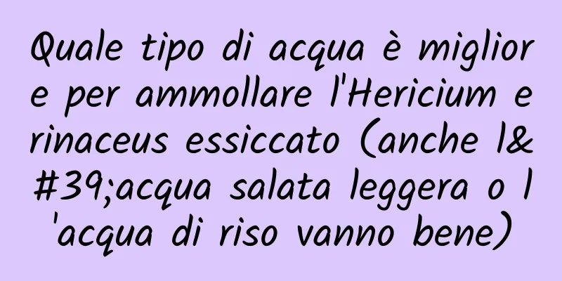 Quale tipo di acqua è migliore per ammollare l'Hericium erinaceus essiccato (anche l'acqua salata leggera o l'acqua di riso vanno bene)