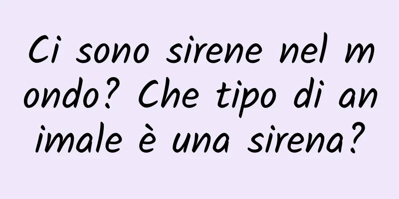 Ci sono sirene nel mondo? Che tipo di animale è una sirena?