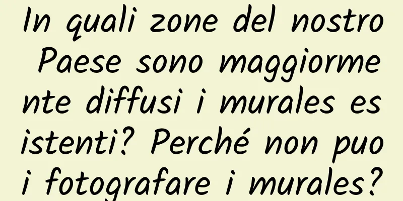 In quali zone del nostro Paese sono maggiormente diffusi i murales esistenti? Perché non puoi fotografare i murales?