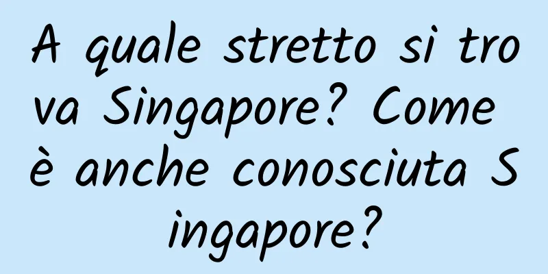 A quale stretto si trova Singapore? Come è anche conosciuta Singapore?