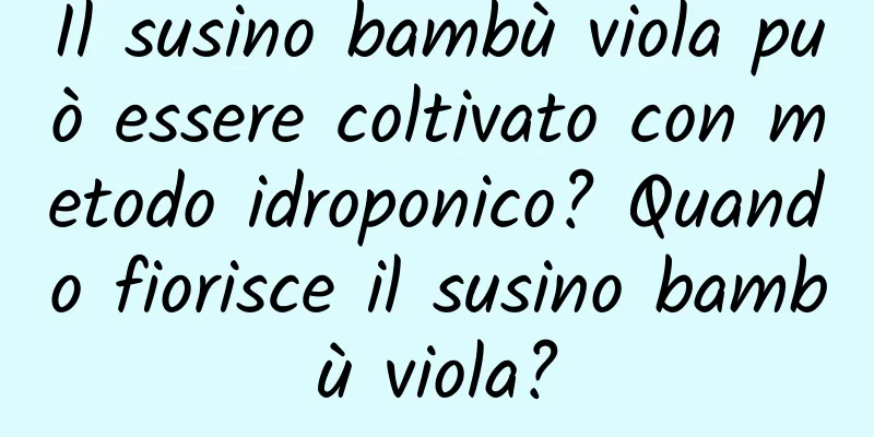 Il susino bambù viola può essere coltivato con metodo idroponico? Quando fiorisce il susino bambù viola?