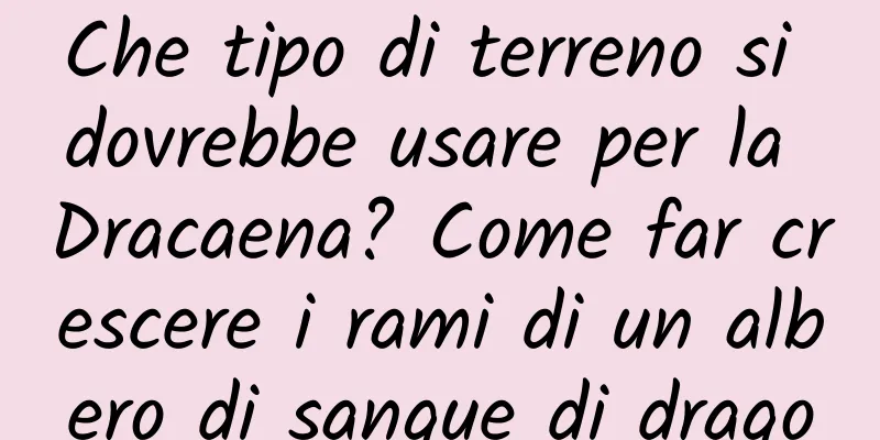 Che tipo di terreno si dovrebbe usare per la Dracaena? Come far crescere i rami di un albero di sangue di drago