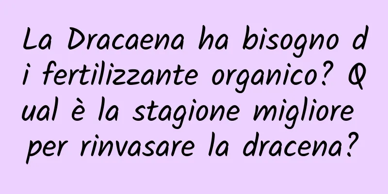 La Dracaena ha bisogno di fertilizzante organico? Qual è la stagione migliore per rinvasare la dracena?