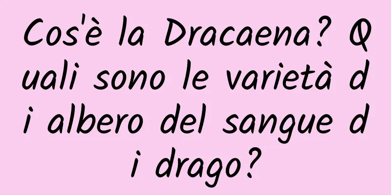 Cos'è la Dracaena? Quali sono le varietà di albero del sangue di drago?