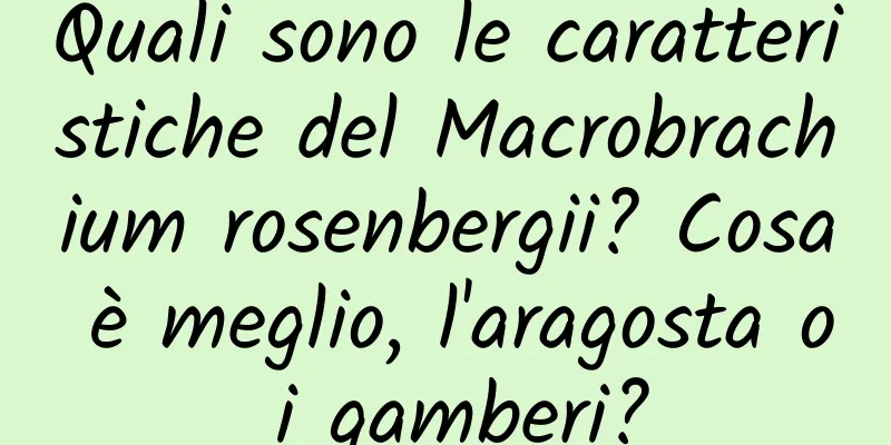 Quali sono le caratteristiche del Macrobrachium rosenbergii? Cosa è meglio, l'aragosta o i gamberi?