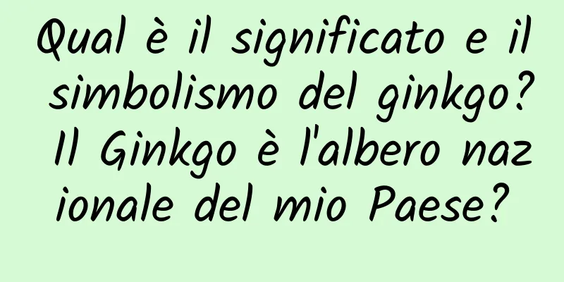Qual è il significato e il simbolismo del ginkgo? Il Ginkgo è l'albero nazionale del mio Paese?