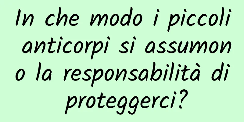 In che modo i piccoli anticorpi si assumono la responsabilità di proteggerci?
