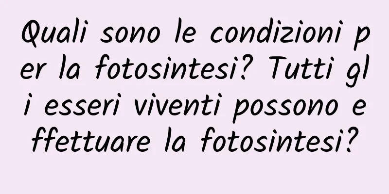 Quali sono le condizioni per la fotosintesi? Tutti gli esseri viventi possono effettuare la fotosintesi?