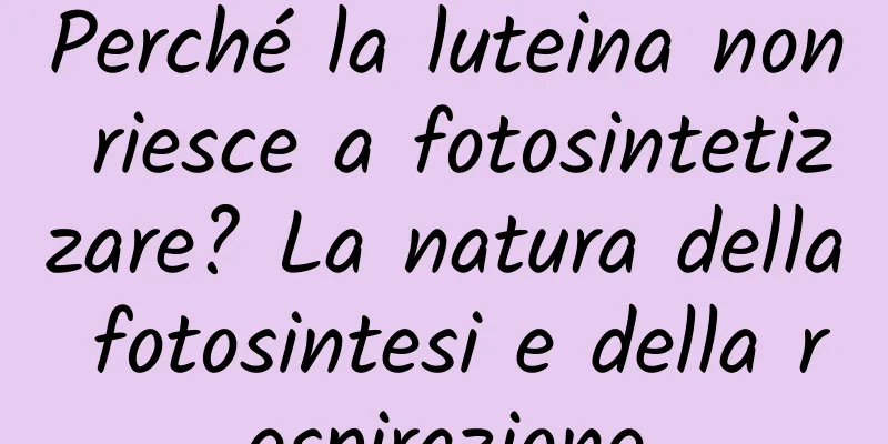 Perché la luteina non riesce a fotosintetizzare? La natura della fotosintesi e della respirazione