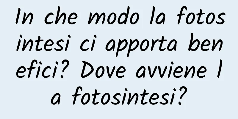 In che modo la fotosintesi ci apporta benefici? Dove avviene la fotosintesi?