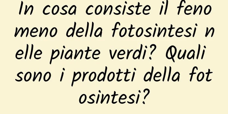 In cosa consiste il fenomeno della fotosintesi nelle piante verdi? Quali sono i prodotti della fotosintesi?