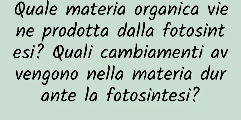 Quale materia organica viene prodotta dalla fotosintesi? Quali cambiamenti avvengono nella materia durante la fotosintesi?