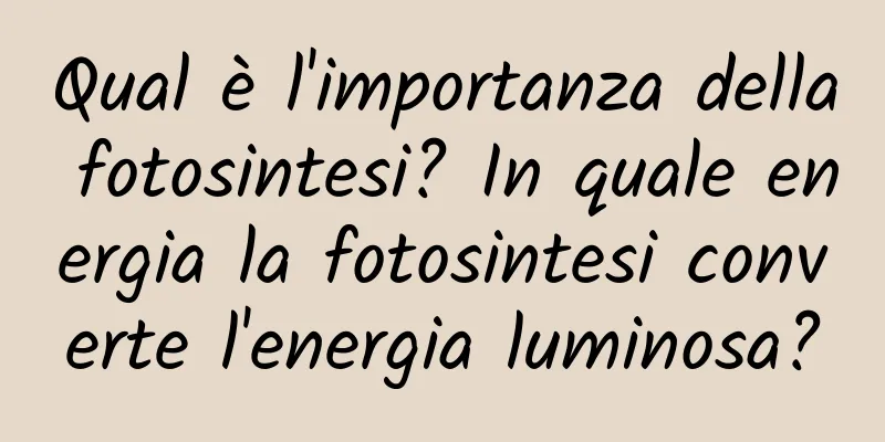 Qual è l'importanza della fotosintesi? In quale energia la fotosintesi converte l'energia luminosa?