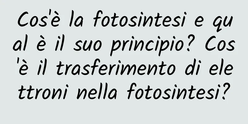 Cos'è la fotosintesi e qual è il suo principio? Cos'è il trasferimento di elettroni nella fotosintesi?