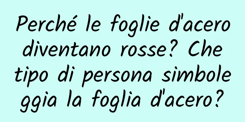 Perché le foglie d'acero diventano rosse? Che tipo di persona simboleggia la foglia d'acero?