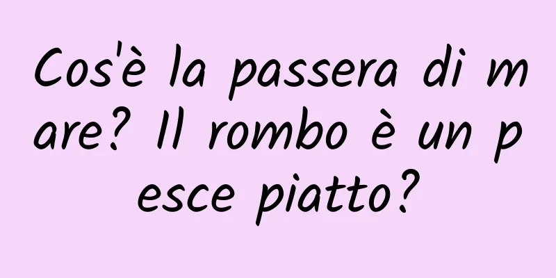 Cos'è la passera di mare? Il rombo è un pesce piatto?