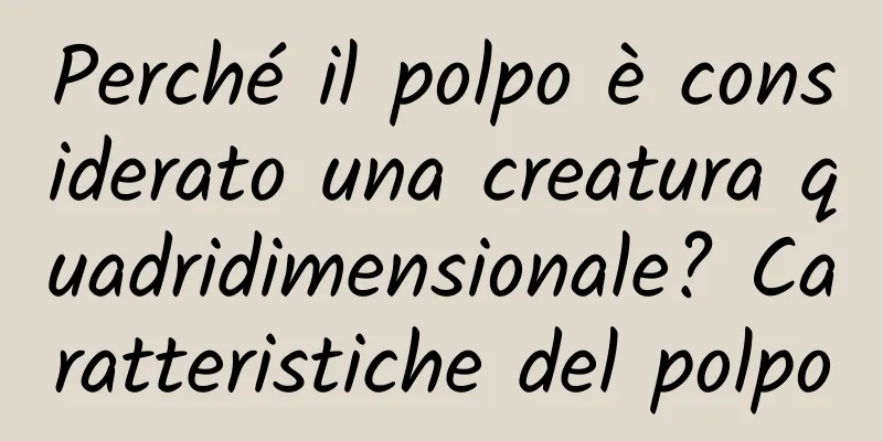 Perché il polpo è considerato una creatura quadridimensionale? Caratteristiche del polpo