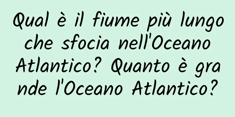 Qual è il fiume più lungo che sfocia nell'Oceano Atlantico? Quanto è grande l'Oceano Atlantico?