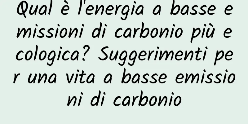 Qual è l'energia a basse emissioni di carbonio più ecologica? Suggerimenti per una vita a basse emissioni di carbonio