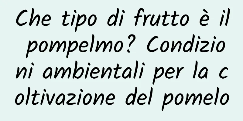 Che tipo di frutto è il pompelmo? Condizioni ambientali per la coltivazione del pomelo