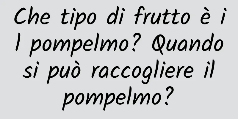 Che tipo di frutto è il pompelmo? Quando si può raccogliere il pompelmo?