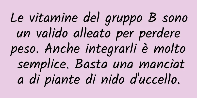 Le vitamine del gruppo B sono un valido alleato per perdere peso. Anche integrarli è molto semplice. Basta una manciata di piante di nido d'uccello.