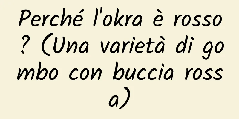 Perché l'okra è rosso? (Una varietà di gombo con buccia rossa)