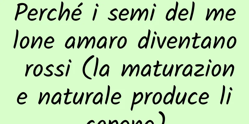 Perché i semi del melone amaro diventano rossi (la maturazione naturale produce licopene)