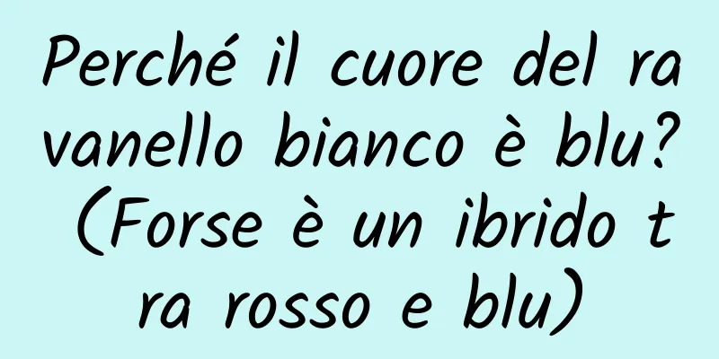 Perché il cuore del ravanello bianco è blu? (Forse è un ibrido tra rosso e blu)