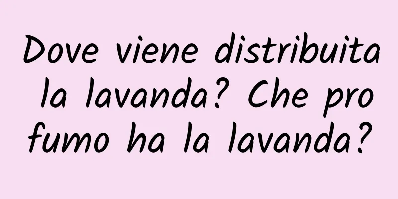 Dove viene distribuita la lavanda? Che profumo ha la lavanda?
