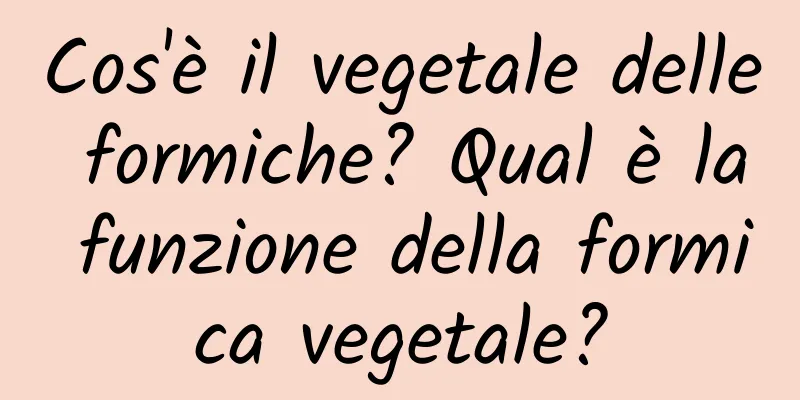 Cos'è il vegetale delle formiche? Qual è la funzione della formica vegetale?