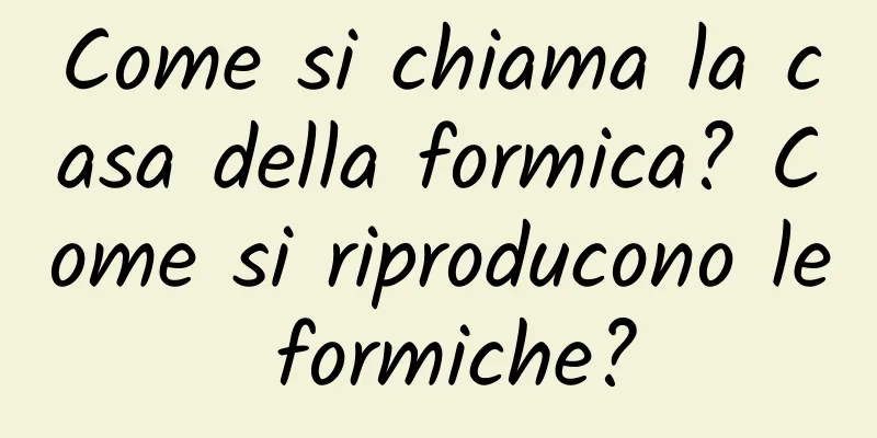Come si chiama la casa della formica? Come si riproducono le formiche?