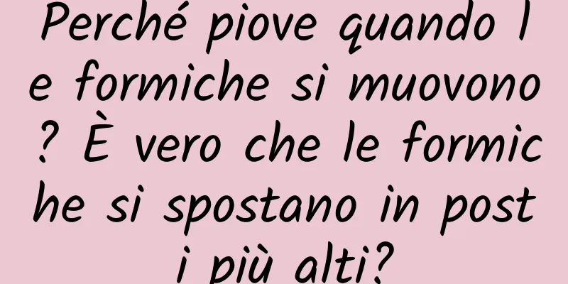 Perché piove quando le formiche si muovono? È vero che le formiche si spostano in posti più alti?