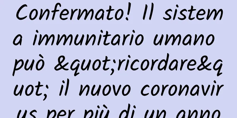 Confermato! Il sistema immunitario umano può "ricordare" il nuovo coronavirus per più di un anno
