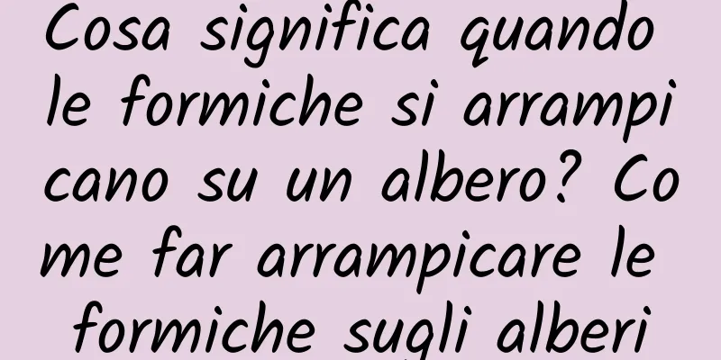 Cosa significa quando le formiche si arrampicano su un albero? Come far arrampicare le formiche sugli alberi