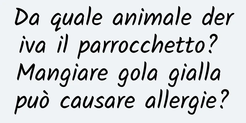 Da quale animale deriva il parrocchetto? Mangiare gola gialla può causare allergie?