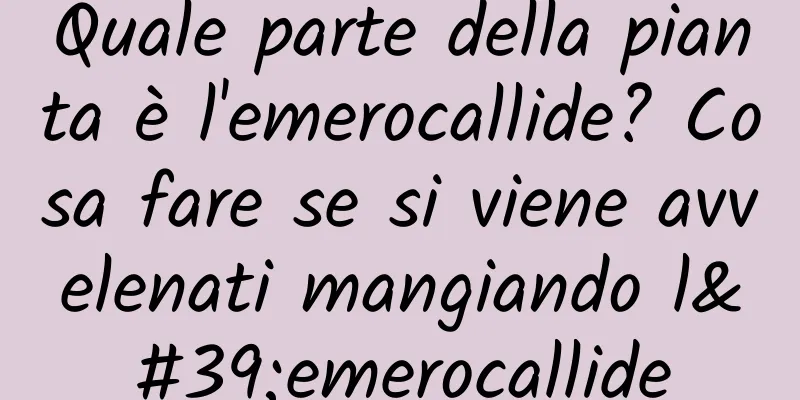 Quale parte della pianta è l'emerocallide? Cosa fare se si viene avvelenati mangiando l'emerocallide