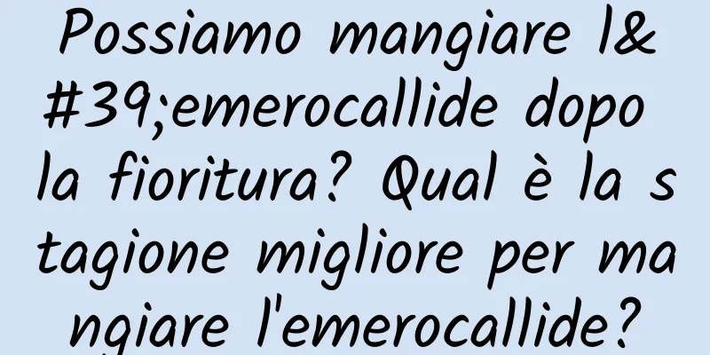 Possiamo mangiare l'emerocallide dopo la fioritura? Qual è la stagione migliore per mangiare l'emerocallide?