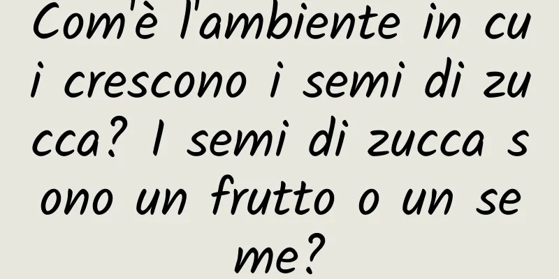 Com'è l'ambiente in cui crescono i semi di zucca? I semi di zucca sono un frutto o un seme?
