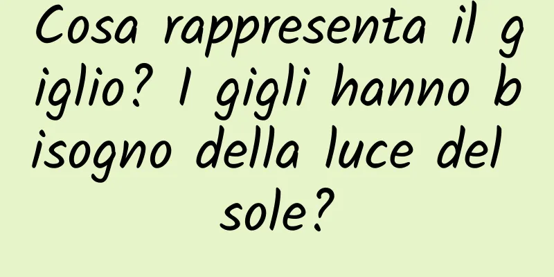 Cosa rappresenta il giglio? I gigli hanno bisogno della luce del sole?