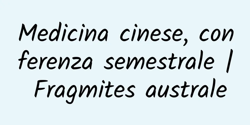 Medicina cinese, conferenza semestrale | Fragmites australe