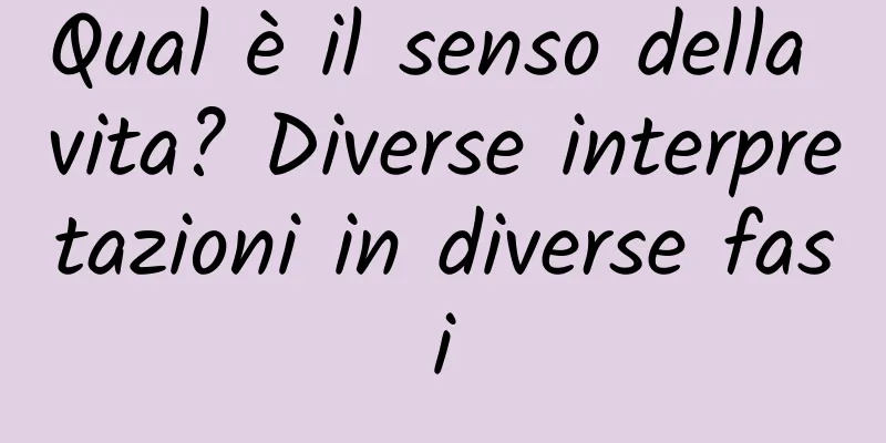 Qual è il senso della vita? Diverse interpretazioni in diverse fasi