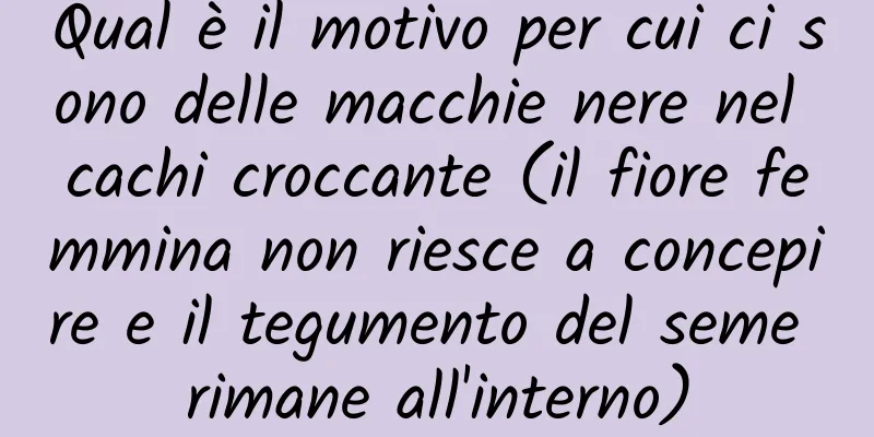Qual è il motivo per cui ci sono delle macchie nere nel cachi croccante (il fiore femmina non riesce a concepire e il tegumento del seme rimane all'interno)