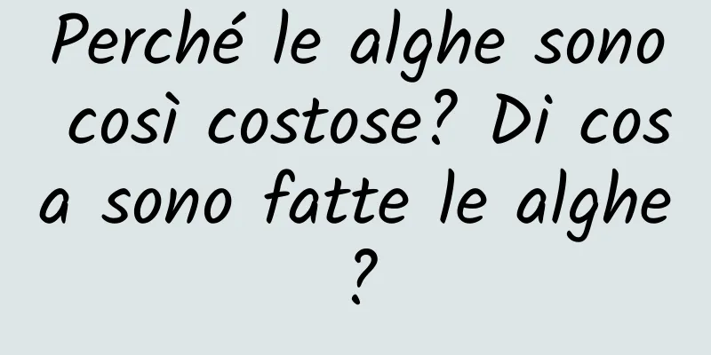 Perché le alghe sono così costose? Di cosa sono fatte le alghe?