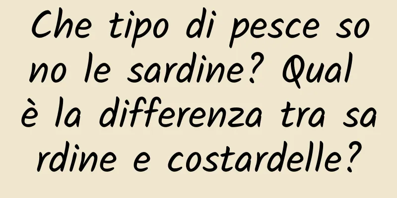 Che tipo di pesce sono le sardine? Qual è la differenza tra sardine e costardelle?