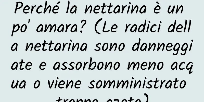 Perché la nettarina è un po' amara? (Le radici della nettarina sono danneggiate e assorbono meno acqua o viene somministrato troppo azoto)